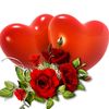 نعمة القلوب♥