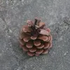 wormwan
