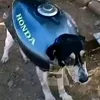 meta1kdeseguidor