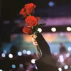 nuna_vmin1
