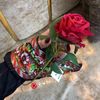 ﮼دعاء ﮼الفاخري❤️