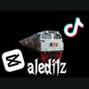 aleditz131112