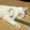raminabe0928