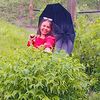 susmita0174