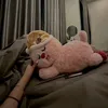 bunny_22344