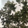 alexpm9514