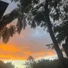 gio_rea7