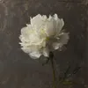 ᡣ𐭩