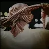 أبـو حـاتـم أبـن الخزاعـل