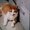 tyurkyanatuf0