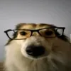 mad_frc