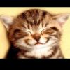 thesmileyfacex