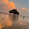 mohammed.alshammar55