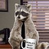a_mecha_raccoon