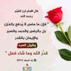 mohamed.dz20s