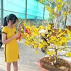 baythai32