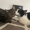 cleoandtim