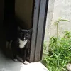 andreamdng
