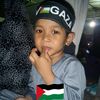 tansri_owenliklau
