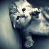user010004024
