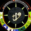 bozkurt4134