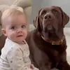 Cute Corner