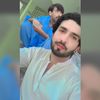 darhal0804
