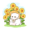 iamhaaju_