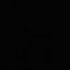 aeu_311