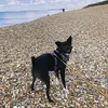 emmalou_46