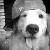 lucho_tiktoker