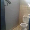 situlismonpseudoteshomo