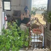 _phuong936