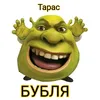 vasya_probka