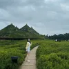 _nkhzanh2_9_