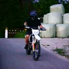 felix_4132