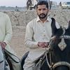 saqibch6424
