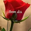 florzinha431