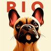 rio.bulldog