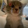 keyla_stitch
