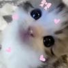 jeongins_lostplushie
