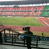 celeng_992