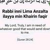 fajjy.dulzdida
