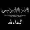 mo_knk11