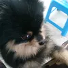 users0wqdug6it