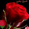 shehryarkhan1495