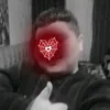 .3132337