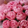 lizka__001_