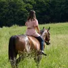 katharina_horse