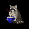 richraccoon93